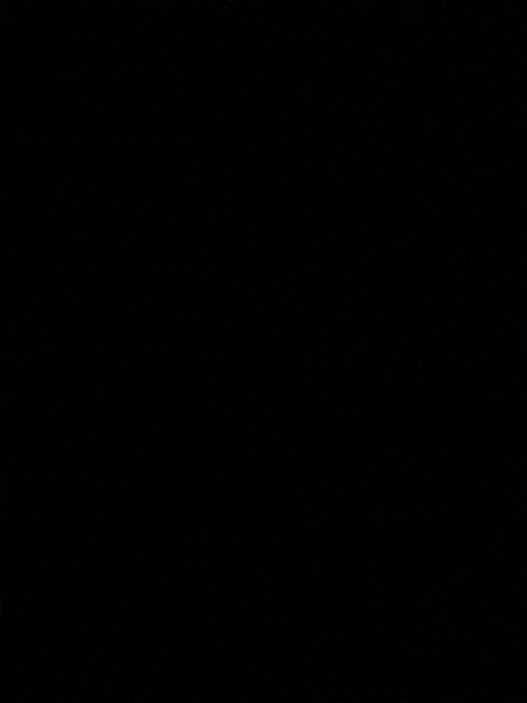 2017 Lexus RX F SPORT's photo