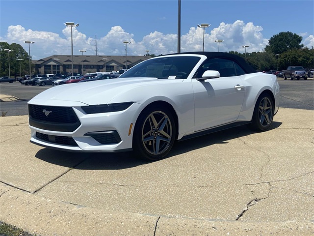 2025 Ford Mustang EcoBoost photo 5