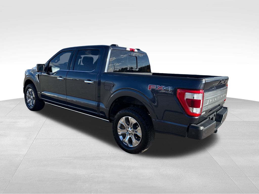 2022 Ford F-150 Platinum photo 3