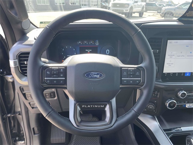 2025 Ford F-150 Platinum photo 8