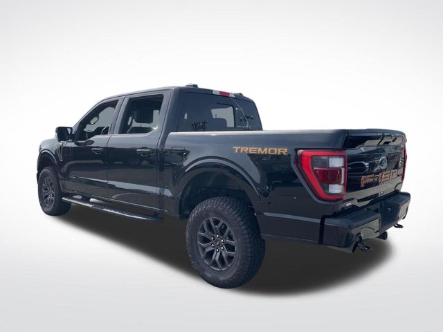 2023 Ford F-150 Tremor photo 3