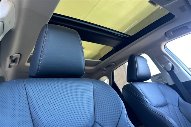 2026 Lexus NX 350h Luxury AWD photo 14