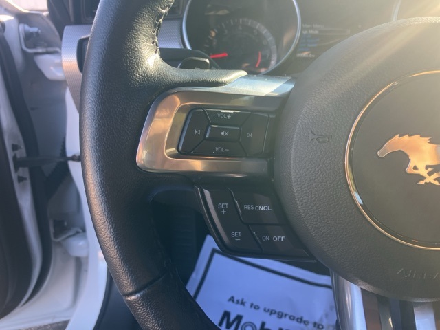 2020 Ford Mustang EcoBoost photo 19