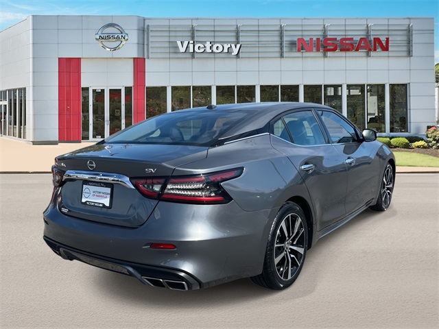 2023 Nissan Maxima SV photo 3