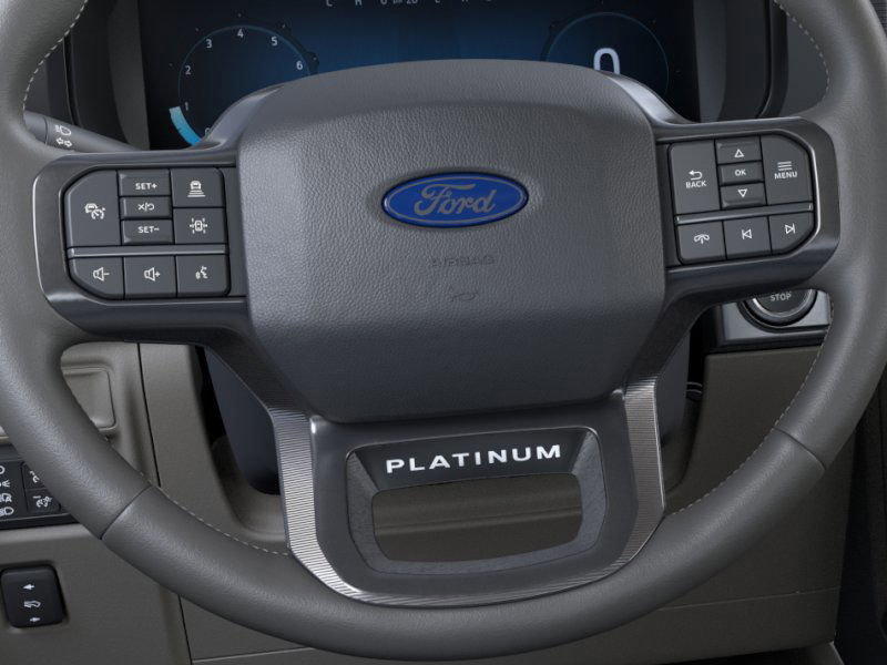 2025 Ford F-150 Platinum photo 11