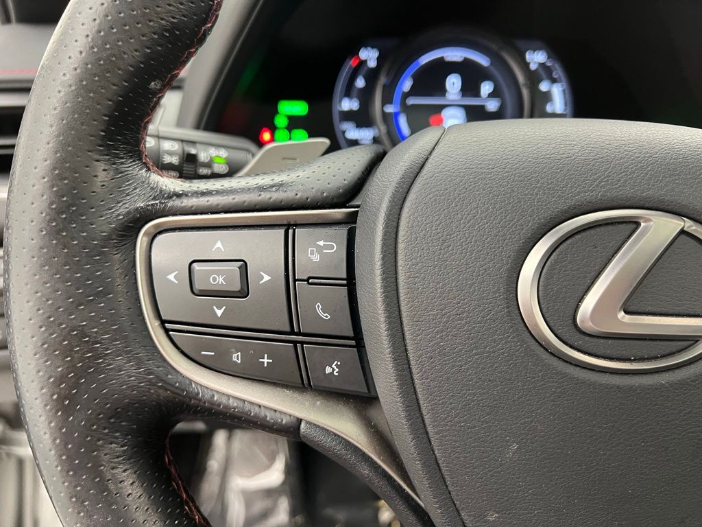 2022 Lexus UX 250h F SPORT photo 18