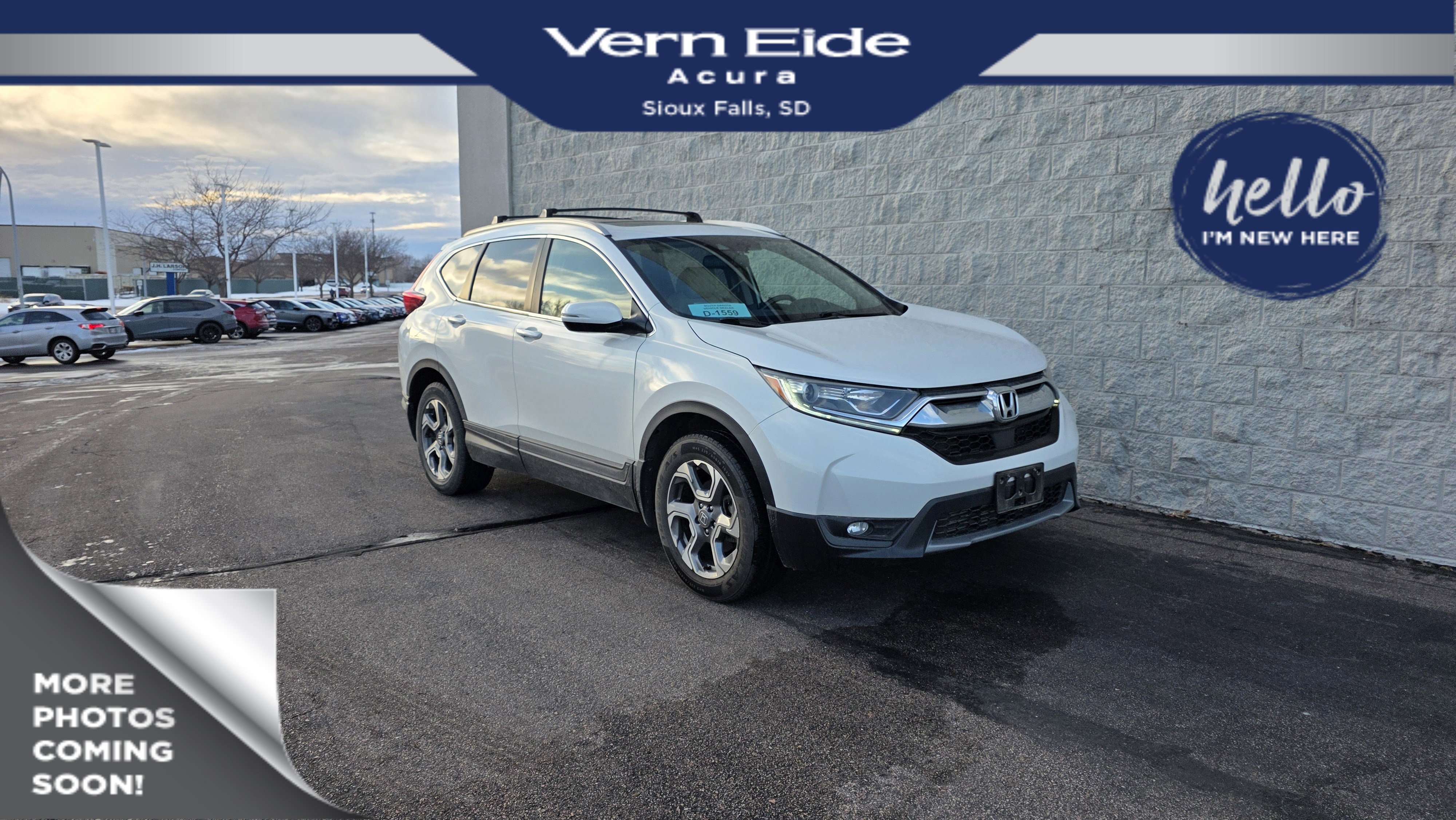 2019 Honda CR-V EX-L's photo