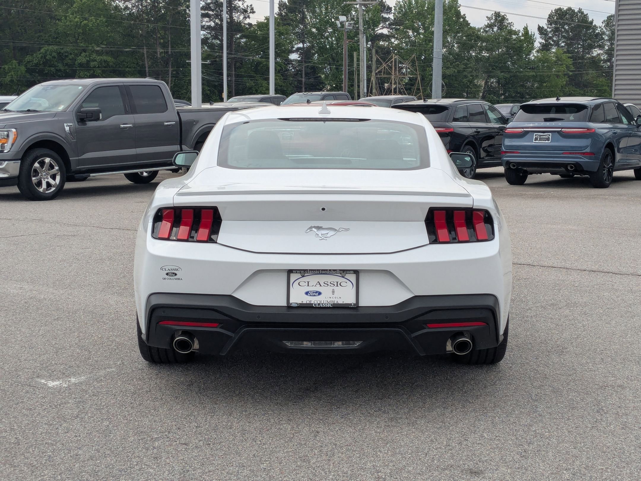 2025 Ford Mustang EcoBoost Premium photo 4