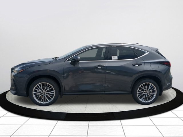 2025 Lexus NX 350 Premium AWD photo 7