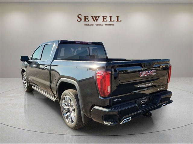 2024 Gmc Sierra 1500 Denali photo 3