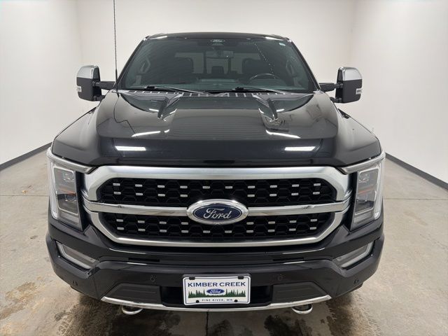 Used 2022 Ford F-150 Platinum with VIN 1FTFW1E89NFB91063 for sale in Pine River, Minnesota