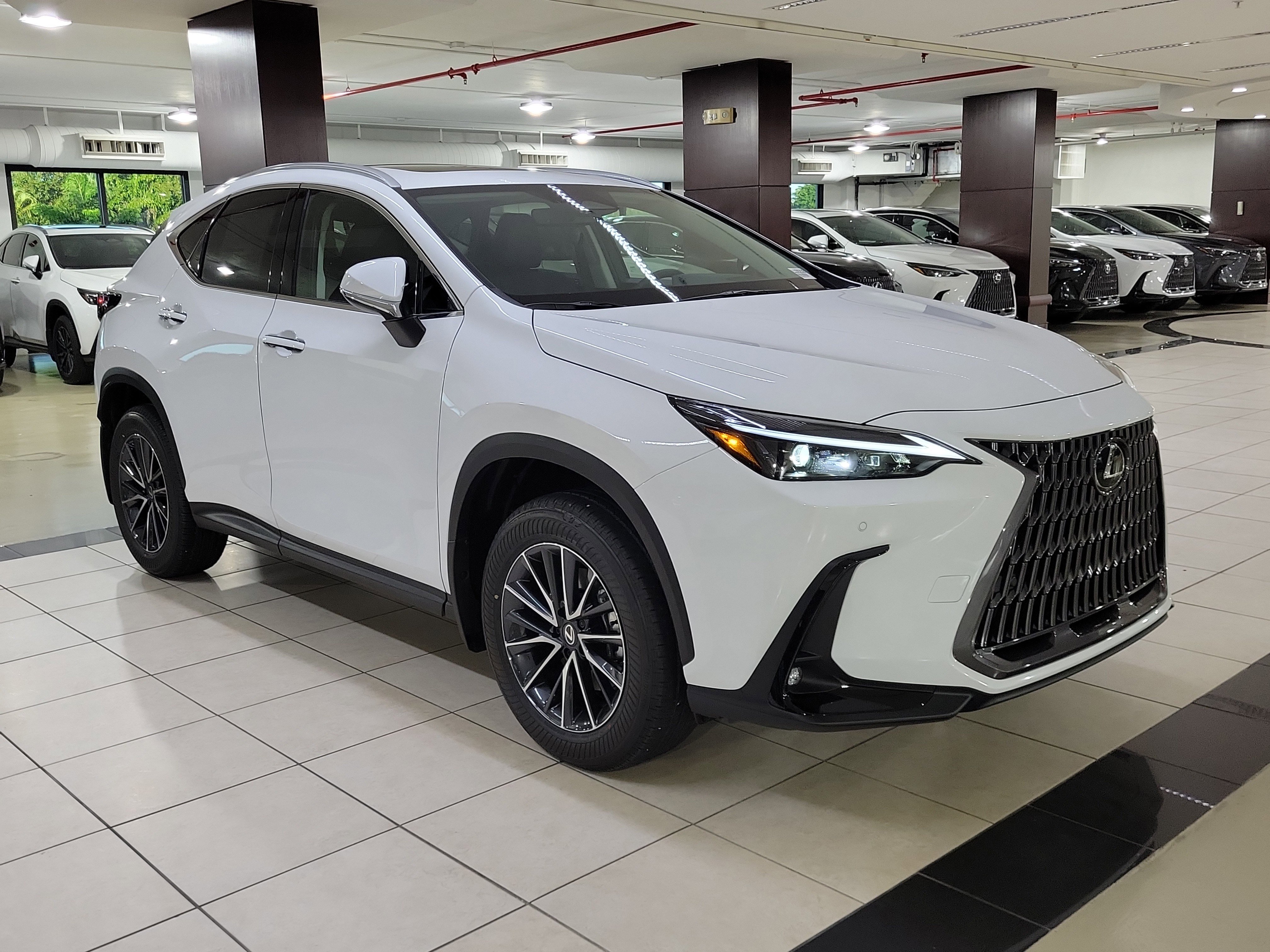 2026 Lexus NX 350's photo
