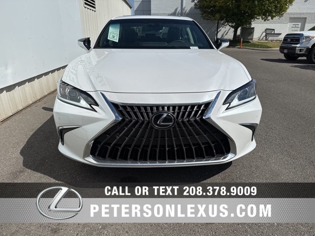 2025 Lexus ES 300h photo 6