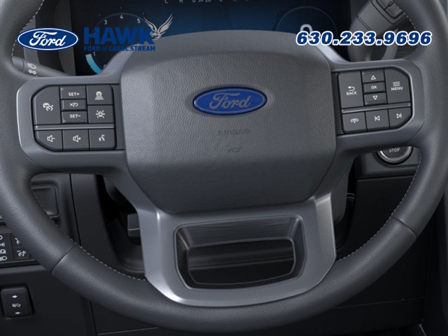 2025 FORD F-150 - Image 12