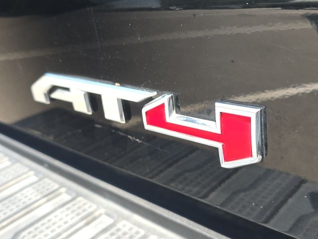 2021 Gmc Sierra 1500 AT4 photo 10