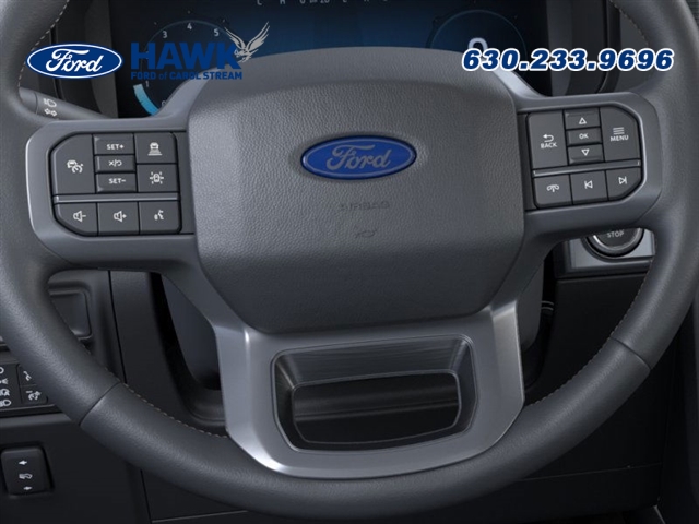 2025 FORD F-150 - Image 12