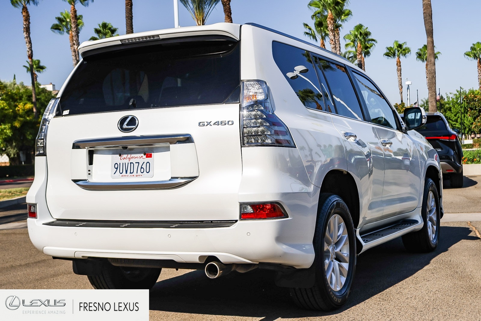2022 Lexus GX 460 photo 6