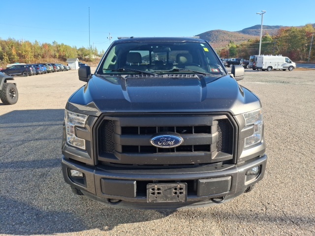 2015 Ford F-150 XL photo 8