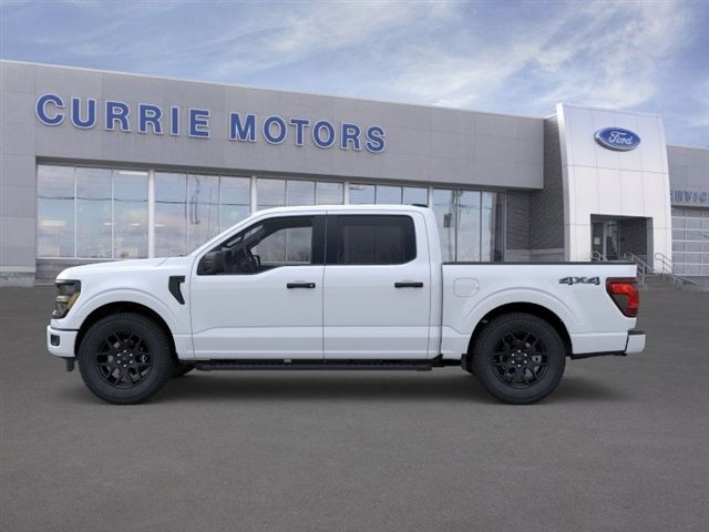 2025 Ford F-150 STX photo 3