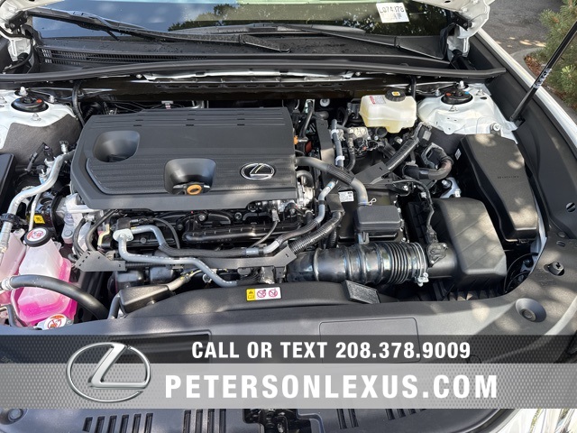 2025 Lexus ES 300h photo 7