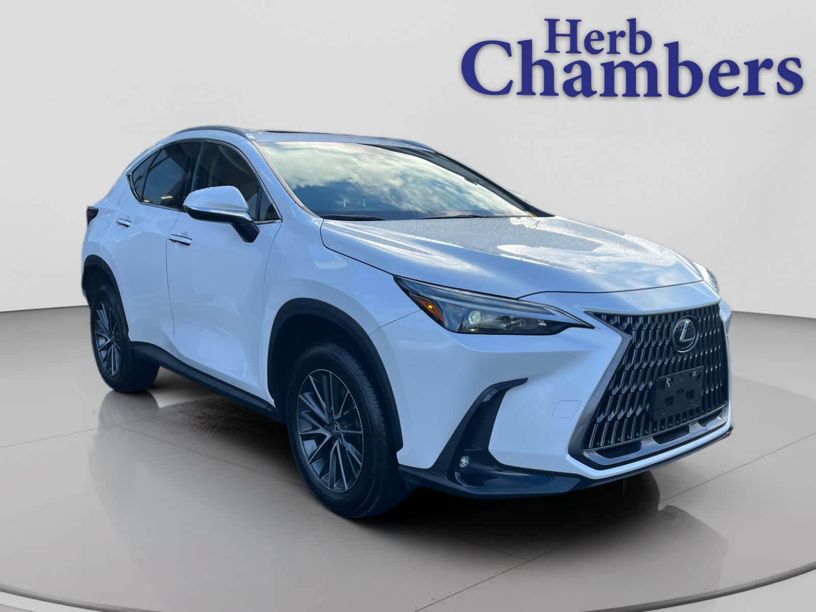 2024 Lexus NX Base's photo