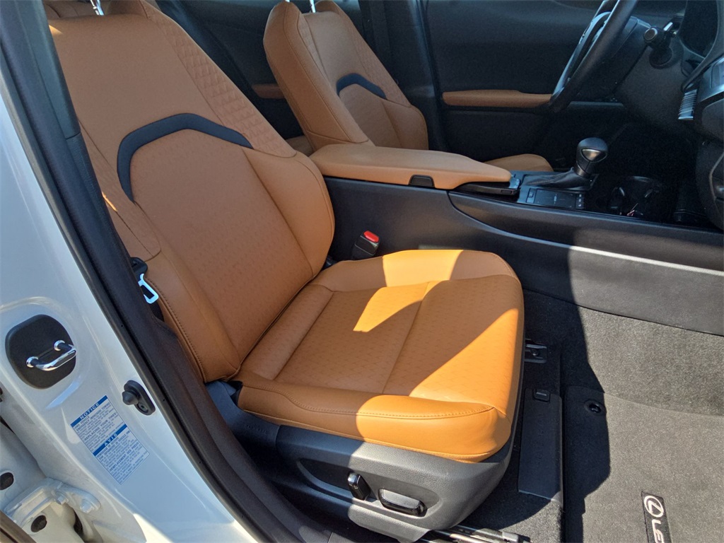 2022 Lexus UX 250h photo 35