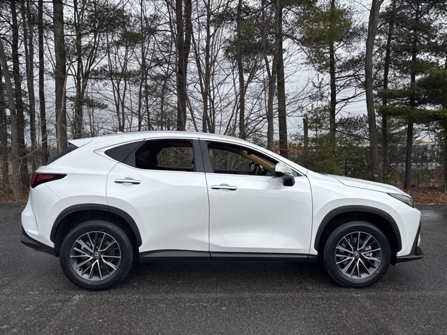 2025 Lexus NX photo 2