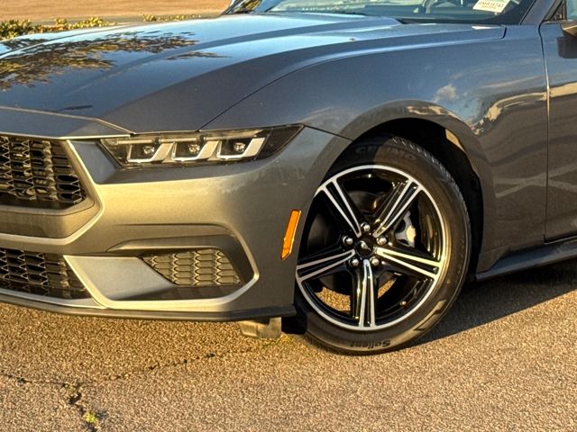 2024 Ford Mustang EcoBoost photo 3