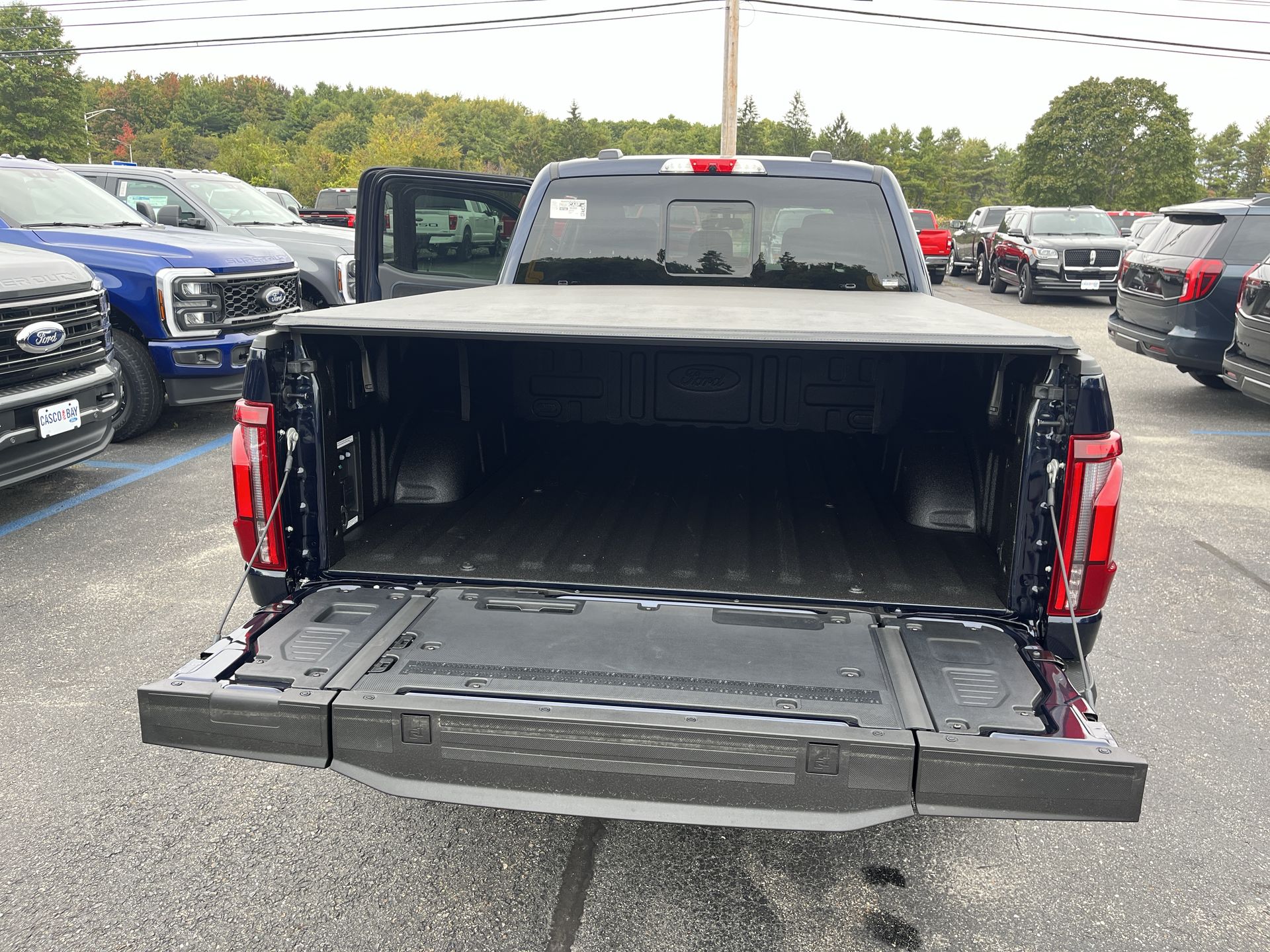 2025 Ford F-150 Platinum photo 2