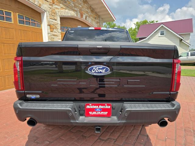 2025 Ford F-150 STX photo 4