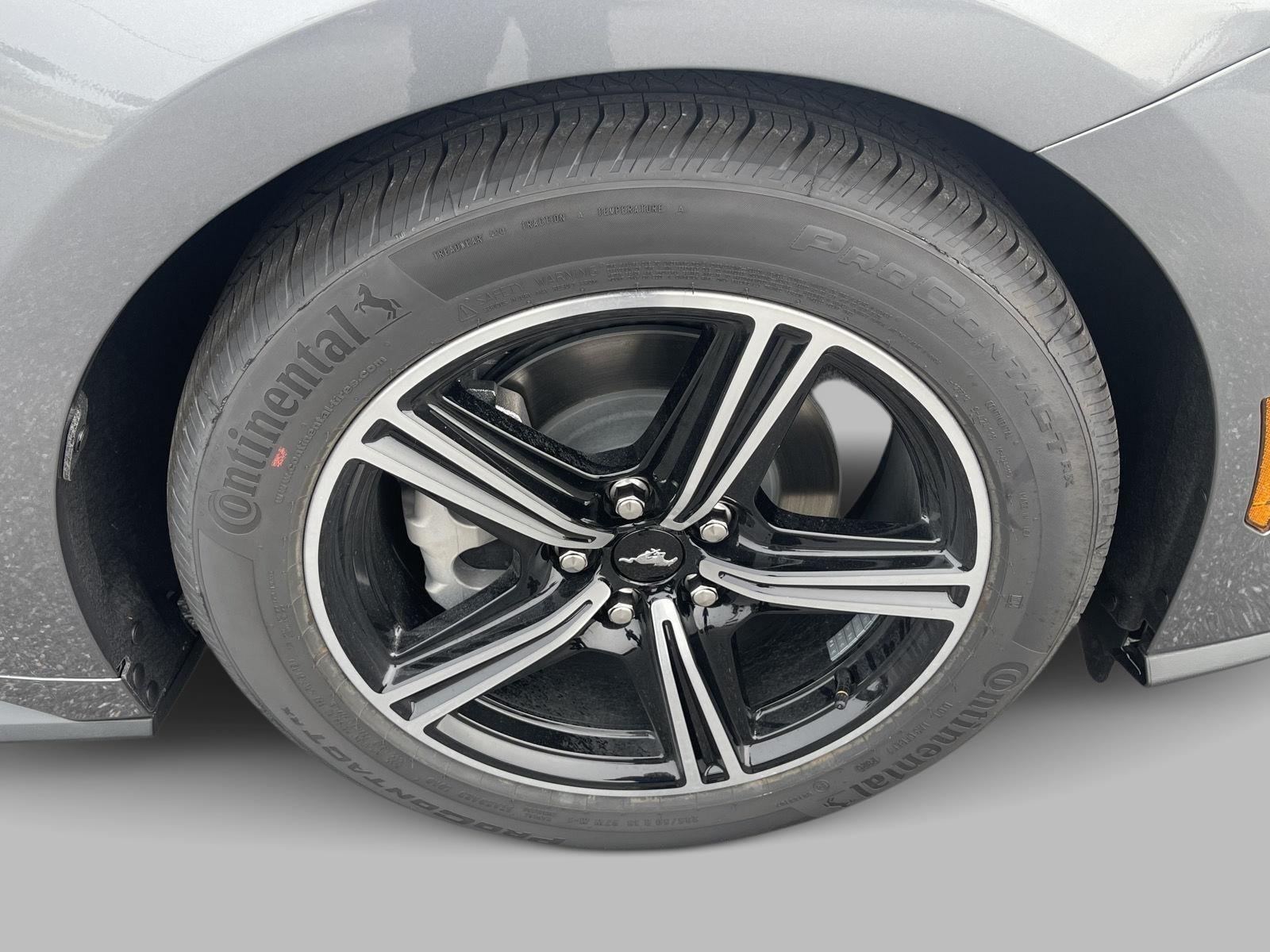 2025 Ford Mustang EcoBoost photo 10