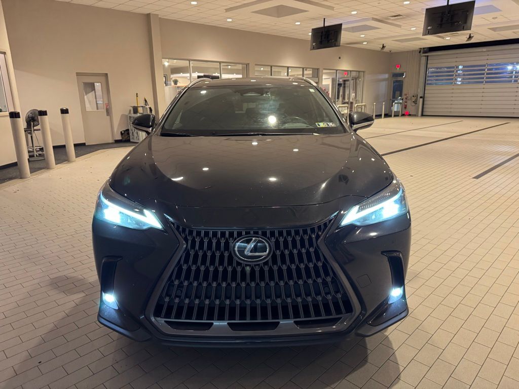 2024 Lexus NX 250 Premium photo 4