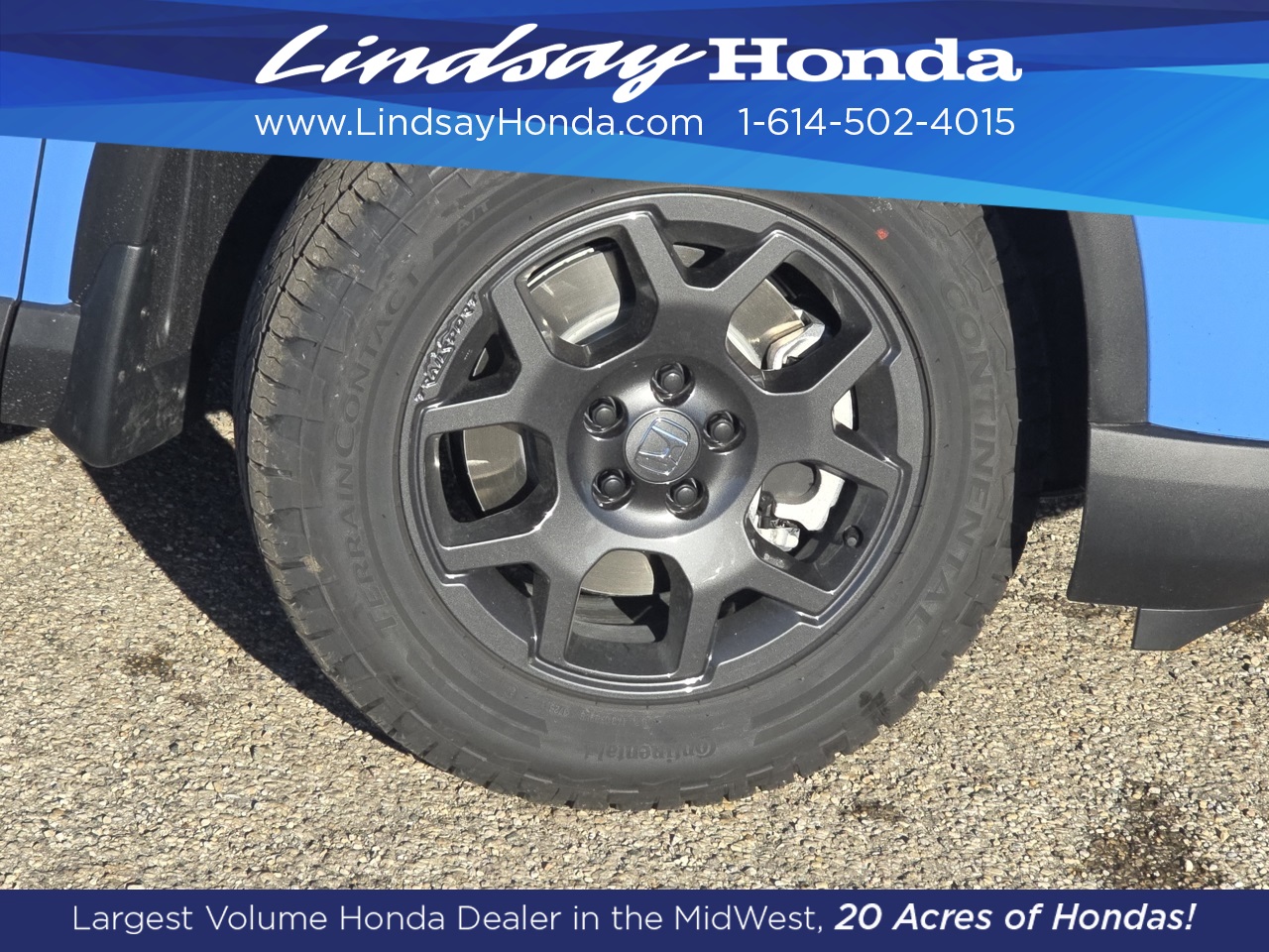 2025 Honda Pilot TrailSport photo 4