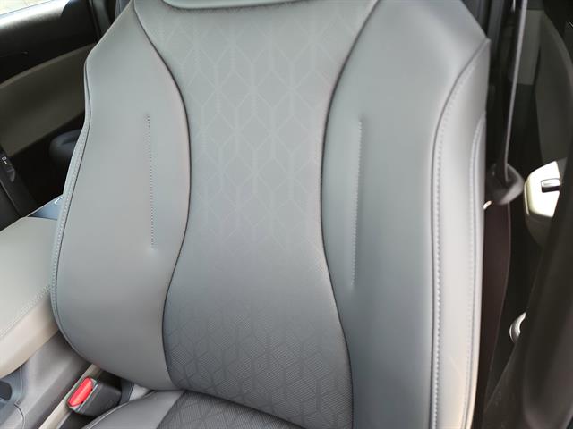 2026 Kia Carnival LXS photo 13