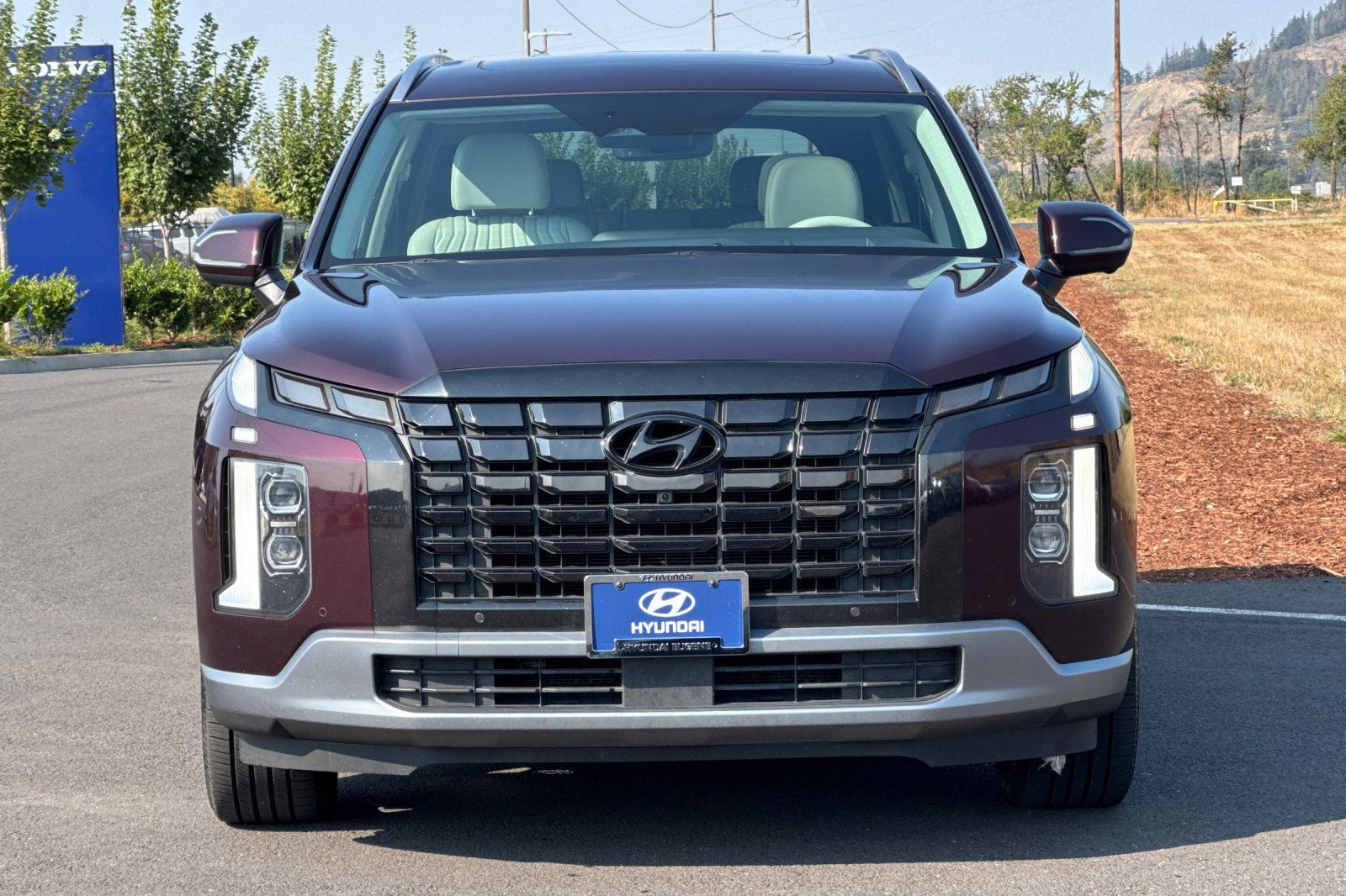 2023 Hyundai Palisade Limited photo 8