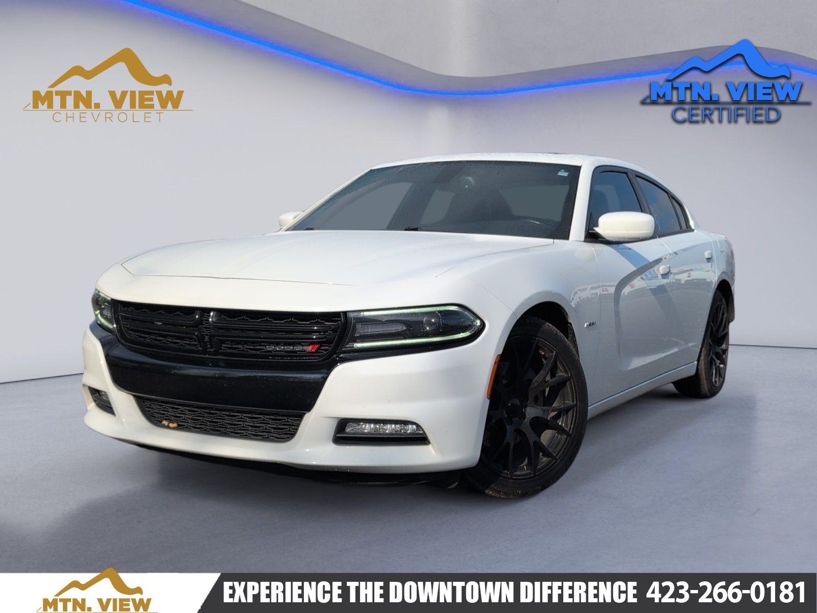 2016 Dodge Charger R/T's photo