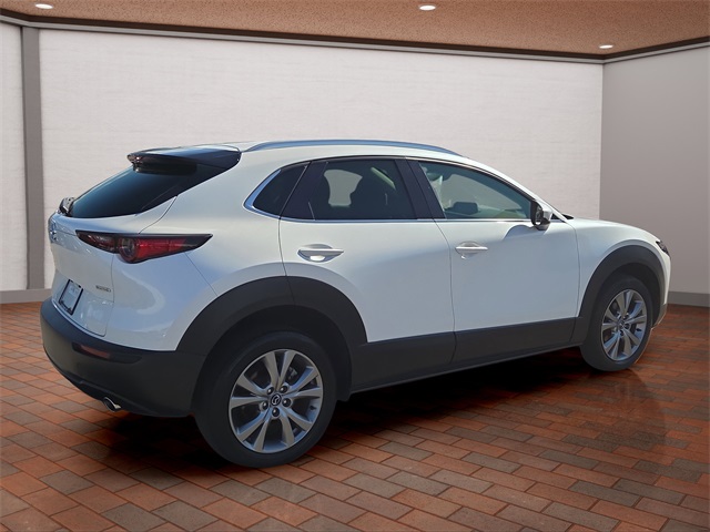 2022 Mazda CX-30 2.5 S Premium photo 3