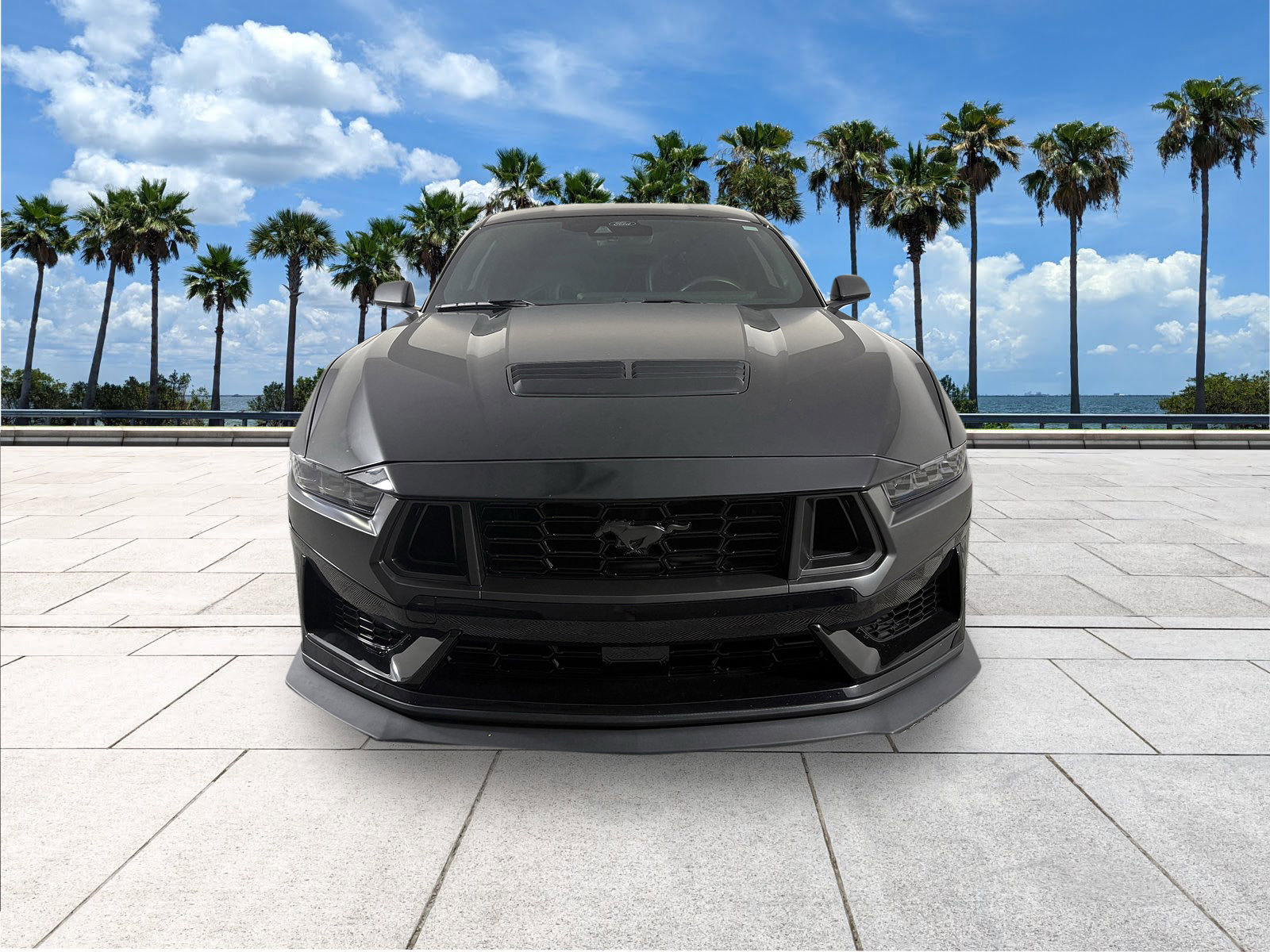 2024 Ford Mustang Dark Horse photo 3