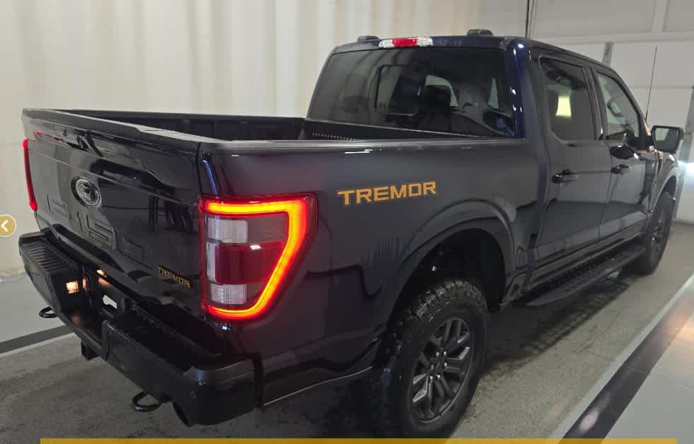 2023 Ford F-150 Tremor photo 3