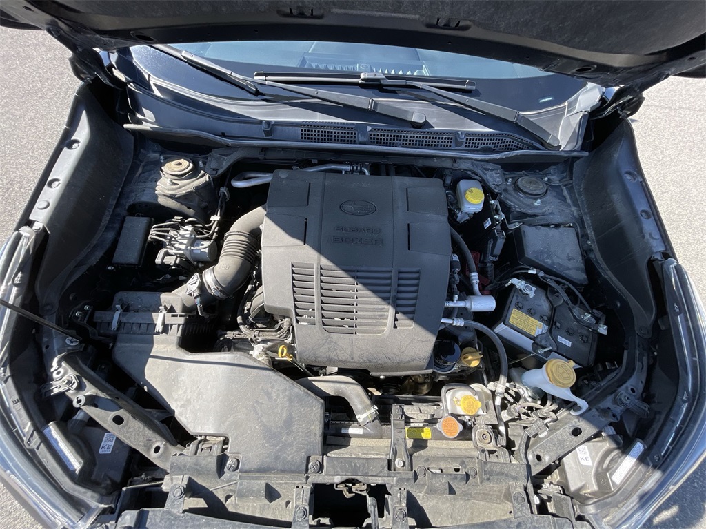 2024 Subaru Forester Wilderness photo 11