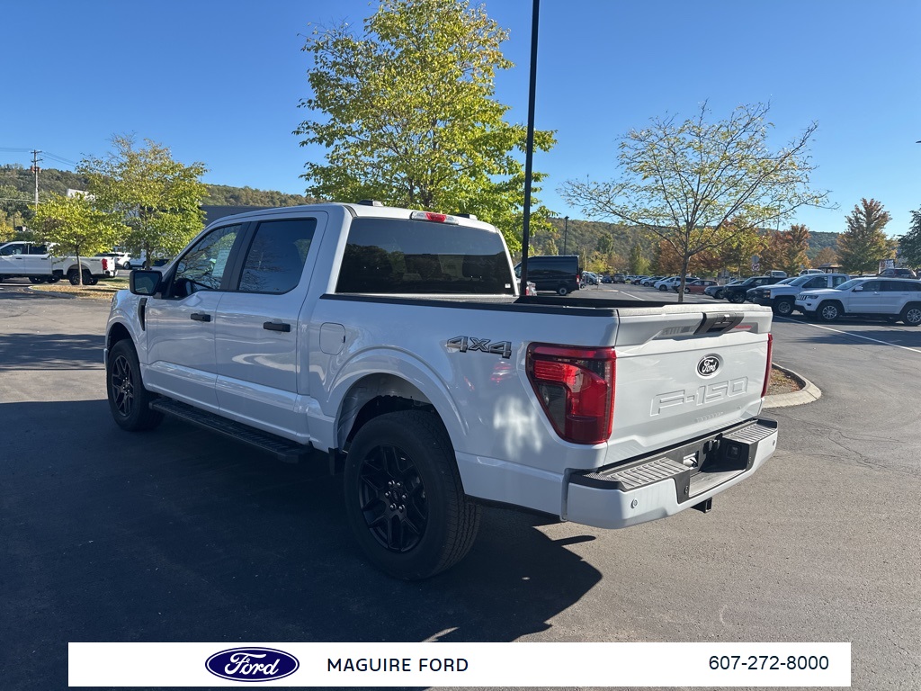 2025 Ford F-150 STX photo 6
