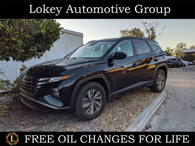 2024 Hyundai Tucson Blue