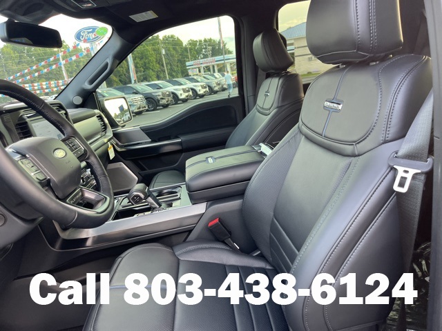 2025 Ford F-150 Platinum photo 8
