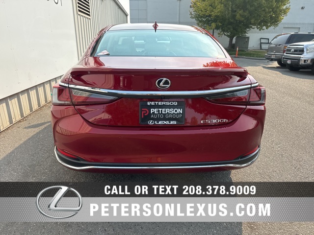 2025 Lexus ES 300h photo 5