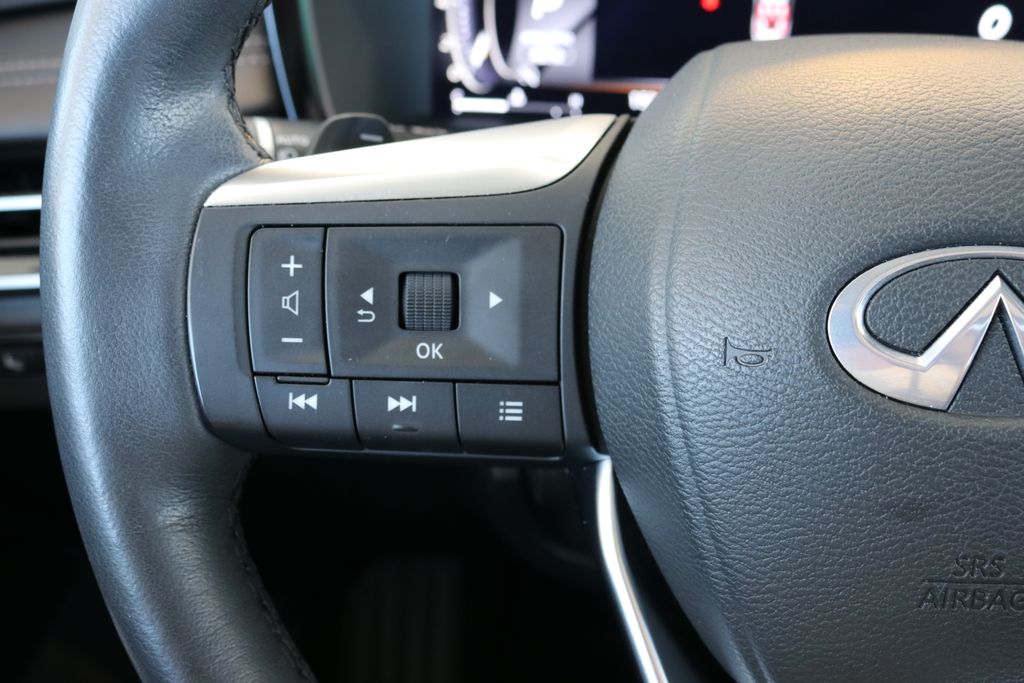 2025 Infiniti QX60 Luxe photo 40