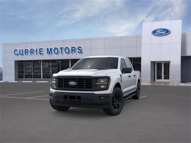 2025 FORD F-150 - Image 24