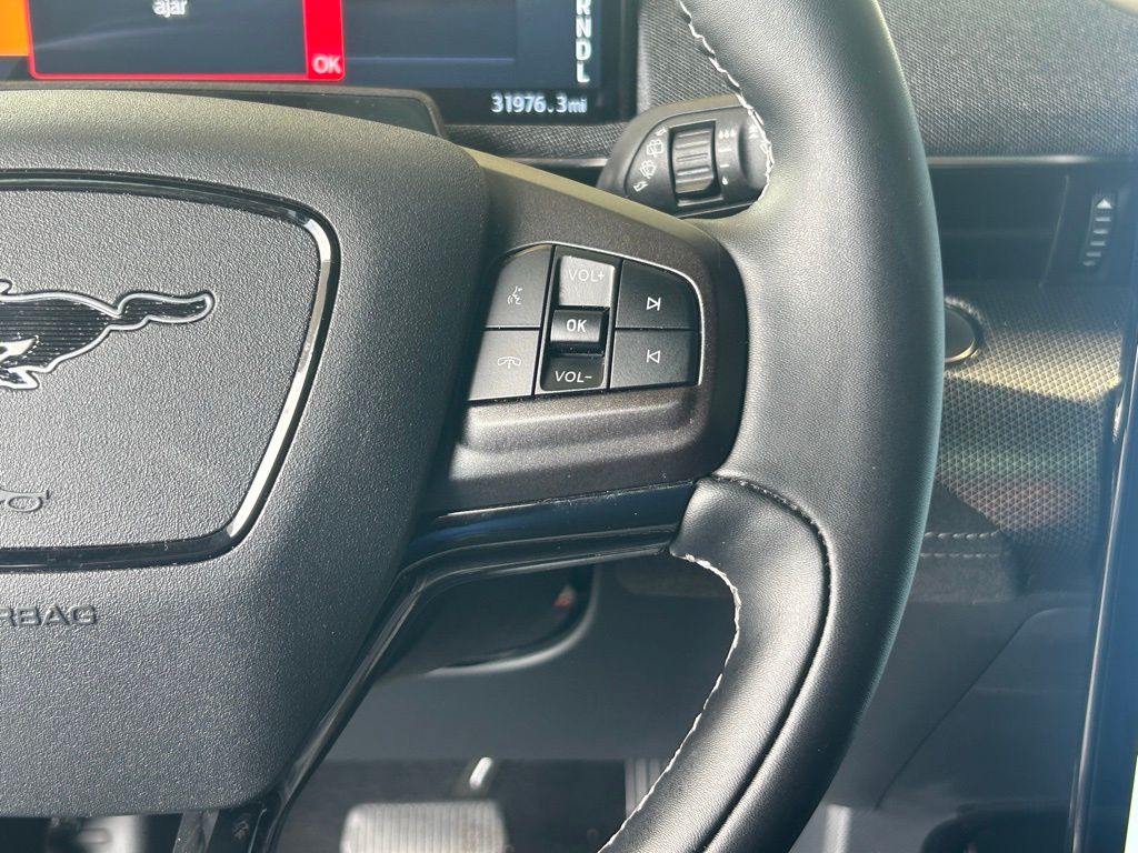 2022 Ford Mustang Mach-E GT photo 35