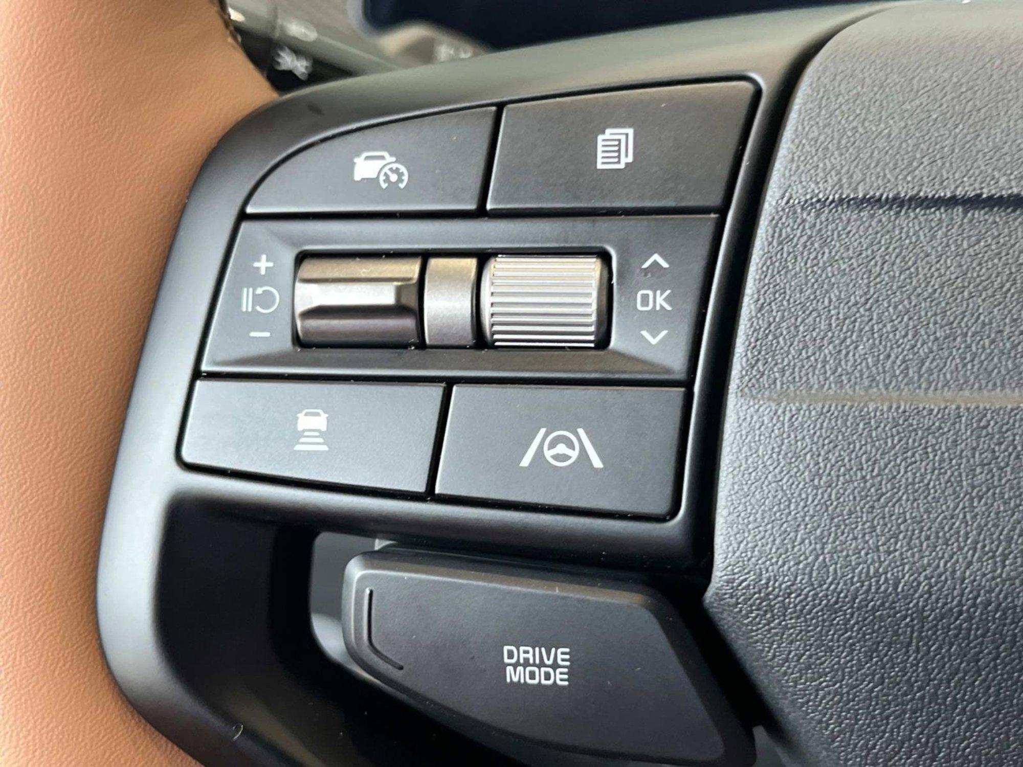 2026 Kia EV9 Light Long Range photo 20