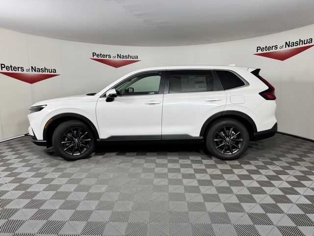 2026 Honda CR-V EX-L photo 3