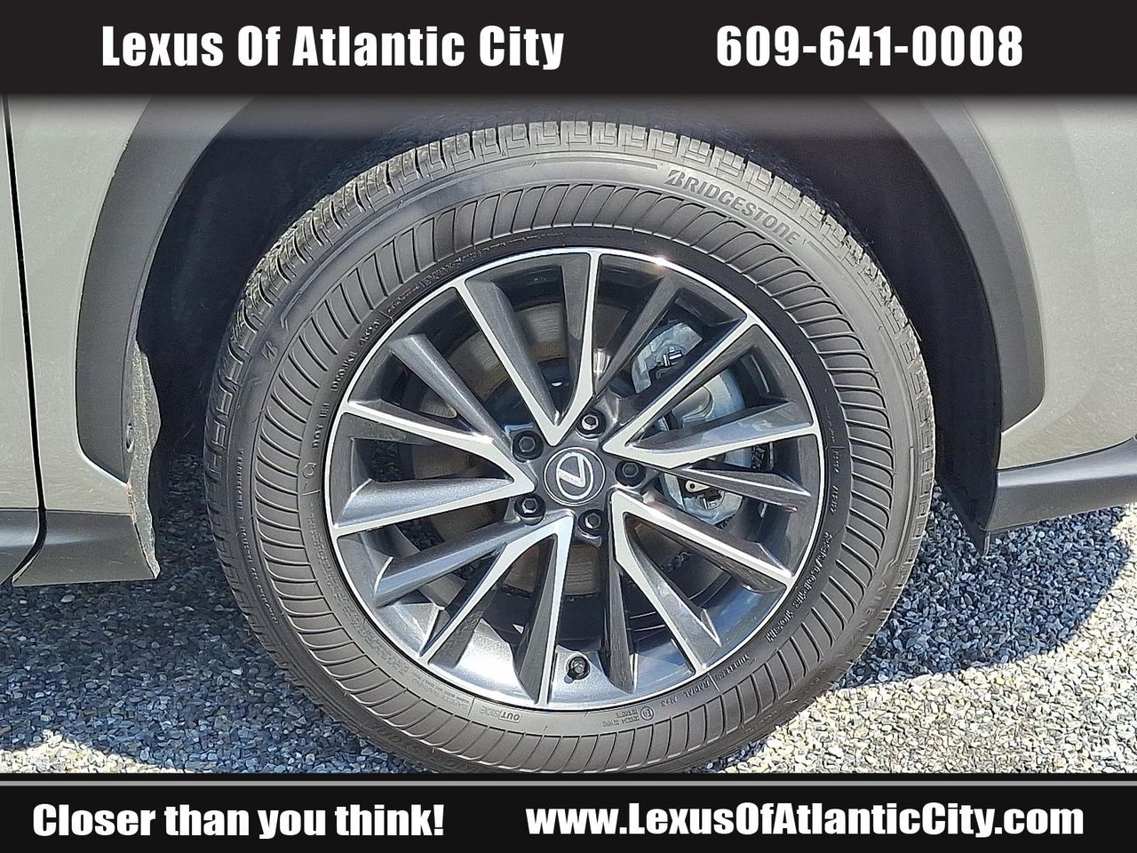 2025 Lexus NX 350h Premium photo 8